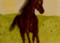 179561_450073258358768_852934865_n