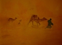 Mirage!! Oil paint....Edel